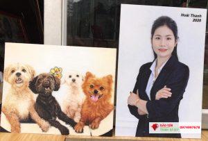 Chân dung ảnh thật