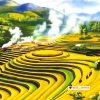 Tranh đá quý ruộng bậc thang